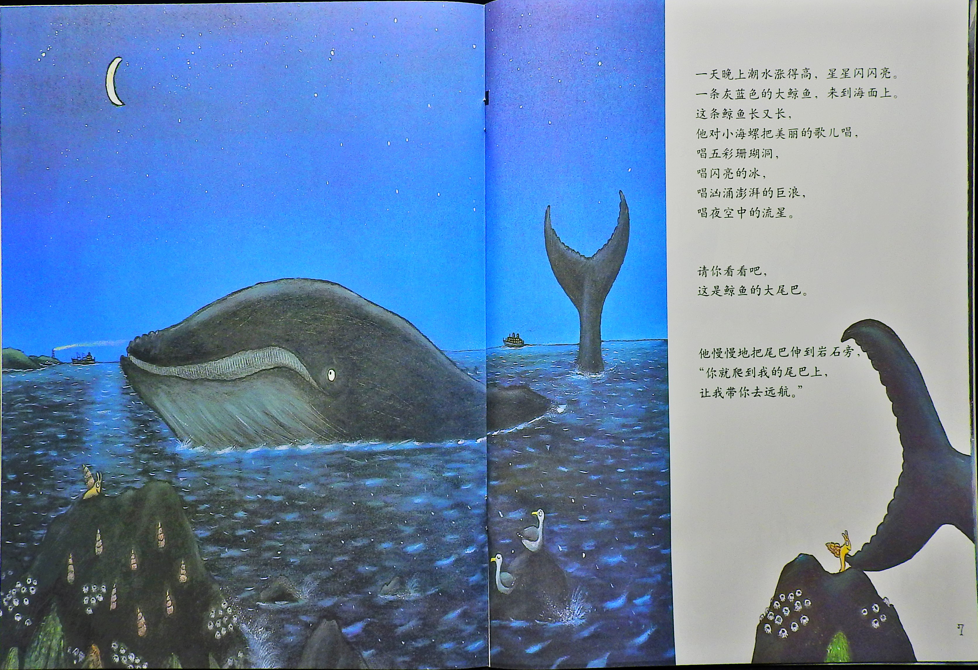 小海螺和大鲸鱼 (06),绘本,绘本故事,绘本阅读,故事书,童书,图画书,课外阅读
